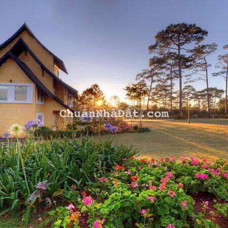 Bán đất hai mặt tiền đường Lê Lai view hồ Đà Lạt