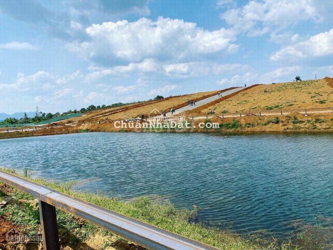 BÁN ĐẤT MẶT TIỀN TRẦN QUỐC TOẢN THÀNH PHỐ ĐÀ LẠT