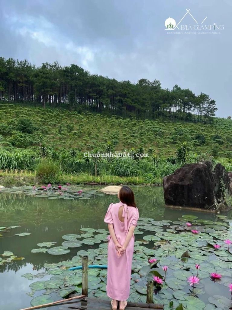 Đất ven đà lạt 200m2, view rừng thông giá 300trieu
