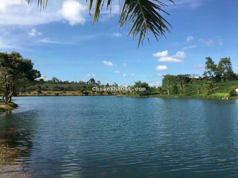 Chính chủ cần bán gấp lô đất tại thành phố Đà Lạt