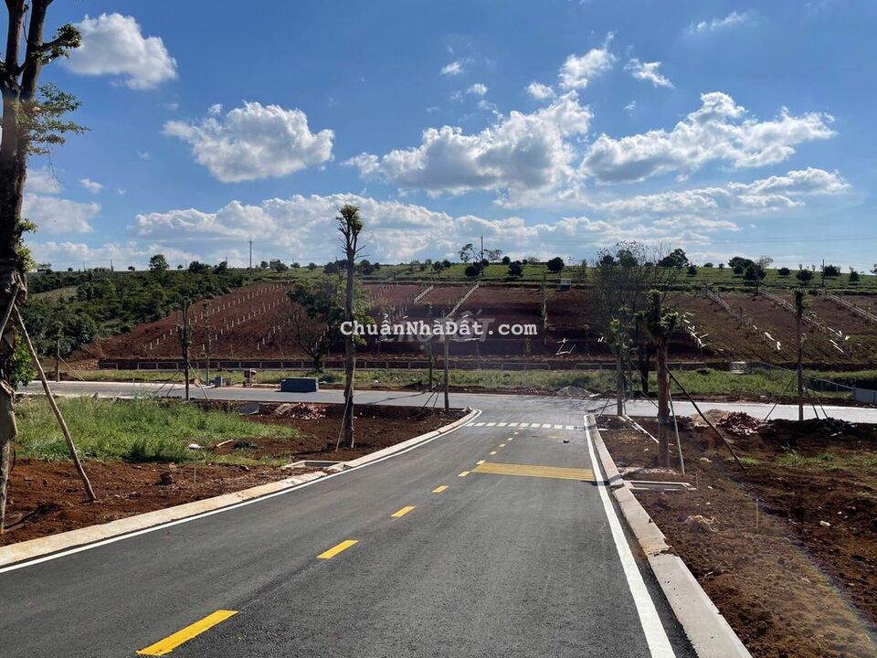 BÁN ĐẤT MẶT TIỀN TRẦN QUỐC TOẢN THÀNH PHỐ ĐÀ LẠT