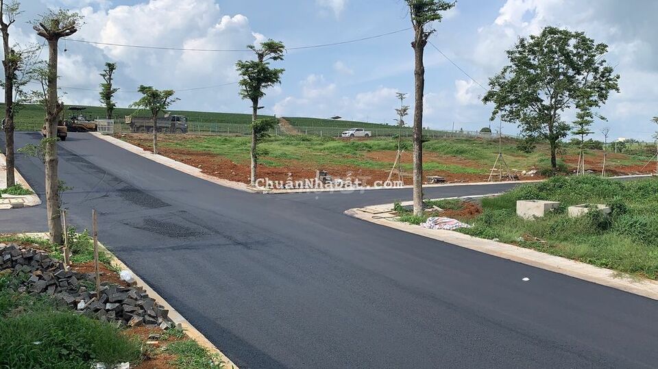 Đất ven đà lạt 200m2, view rừng thông giá 300trieu