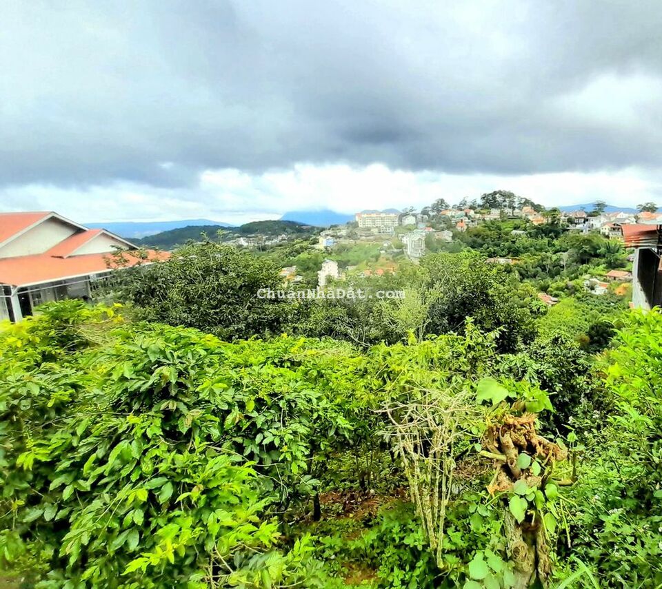 Bán đất view đẹp trung tâm P10 Đà Lạt, sổ riêng 206m full thổ cư