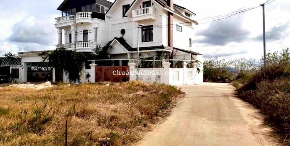 BÁN LỖ LÔ ĐẤT TRÊN ĐỒI BẠCH ĐẰNG ĐÀ LẠT