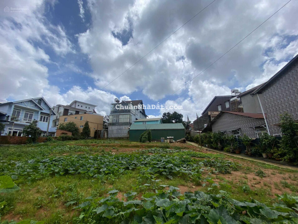 Bán Lô đất 277m2 - 10,2 TỶ VIEW THÀNH PHỐ - Đông Tĩnh (Lý Nam Đế), P.8, Đà Lạt Bán Lô đất 277m2 - 10,2 TỶ VIEW THÀNH PHỐ - Đông Tĩnh (Lý Nam Đế), P.8, Đà Lạt