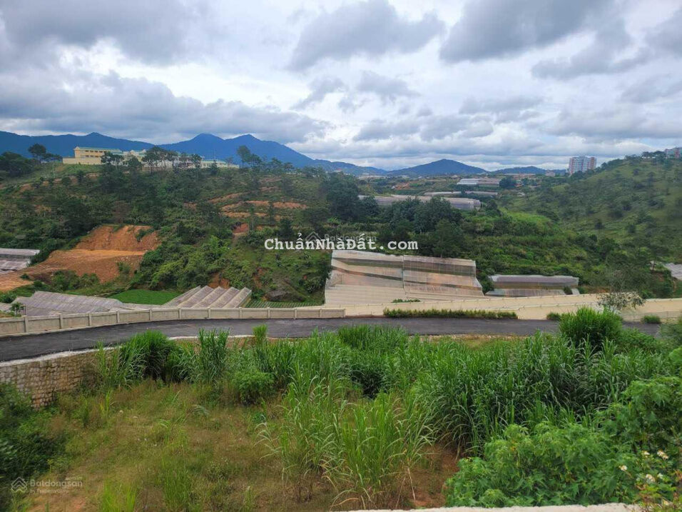 Bán đất view đồi thông không chắn, đường nhựa 4m - Xô Viết Nghệ Tĩnh, Phường 7, Đà Lạt