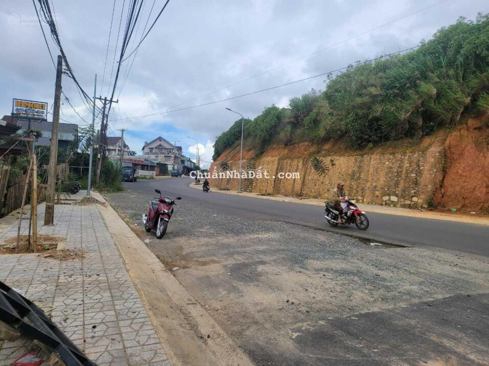 Bán đất view đồi thông không chắn, đường nhựa 4m - Xô Viết Nghệ Tĩnh, Phường 7, Đà Lạt