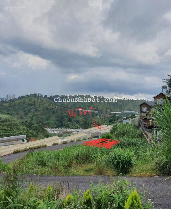 Bán đất view đồi thông không chắn, đường nhựa 4m - Xô Viết Nghệ Tĩnh, Phường 7, Đà Lạt