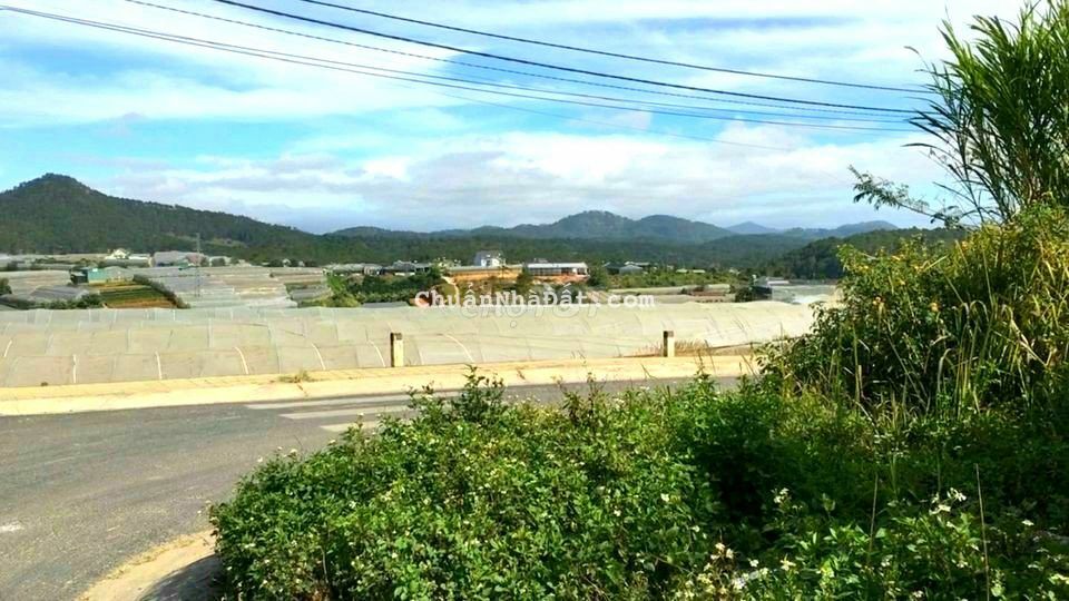 Bán đất view đẹp mặt tiền đường nhựa trung tâm Đà Lạt, sổ riêng 335m