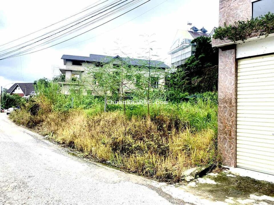 CẦN BÁN GẤP HẠ GIÁ 21 TỶ NAY CHỈ CÒN 16.5 TỶ BÁN ĐẤT KQH BIỆT THỰ LÝ N