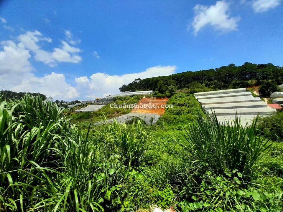 Bán đất view đồi thông, sổ riêng 560m thổ cư gần làng hoa vạn thành