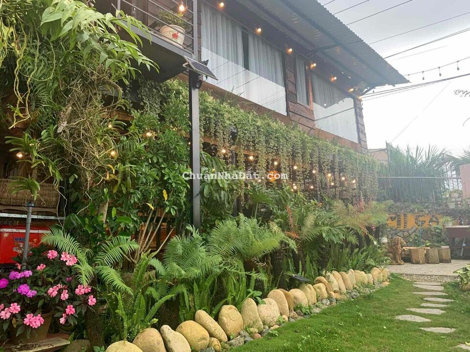 Cần bán nhà vườn 572m2 tại phường 4 - Tp.Đà Lạt