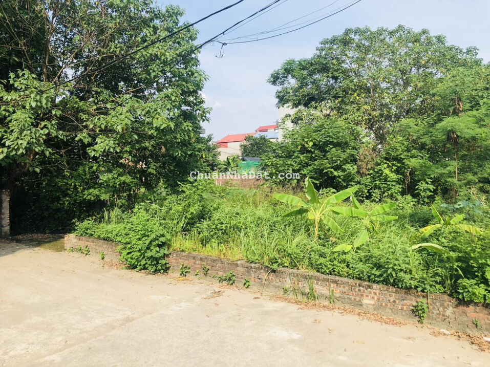 Chính chủ cần bán 40m đất Phúc Thọ, Mai Lâm, Đông Anh, Hà Nội. Ô tô vào tận nơi. Giá 1 tỷ 280 triệu