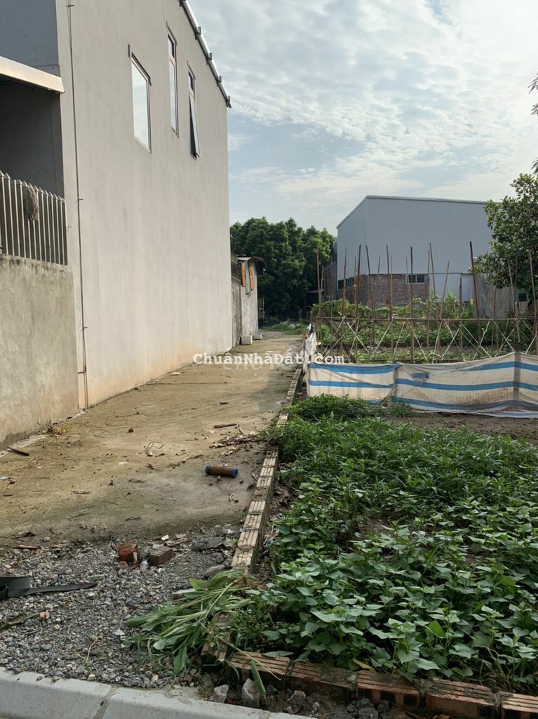 Bán đất Kim Chung, 40m2, xe hơi đỗ, 100m cao tốc Bán đất Kim Chung, 40m2, xe hơi đỗ, 100m cao tốc