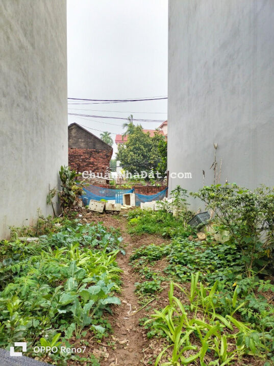 Hiếm có! Chỉ 1.65 tỷ bán đất Hải Bối, Đông Anh 41m2, MT 4 m, nhà 2 mặt ngõ ô tô, 10m ra phố