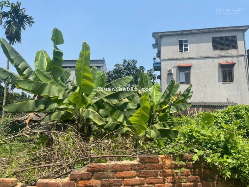 Chính chủ cần bán 45m2 đất tại Đông Anh, Hà Nội giá công khai chỉ 1,1 tỷ, LH ngay 0334412345