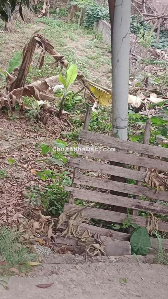 BÁN ĐẤT HẢI BỐI,ĐÔNG ANH- GIÁ RẺ BÁN ĐẤT HẢI BỐI,ĐÔNG ANH- GIÁ RẺ