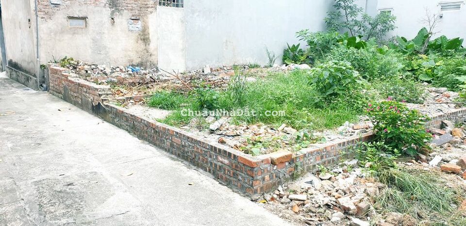 Đất đẹp Cổ Dương - Tiên Dương - Đông Anh 56m2 giá hơn 2 tỷ xíu xiu