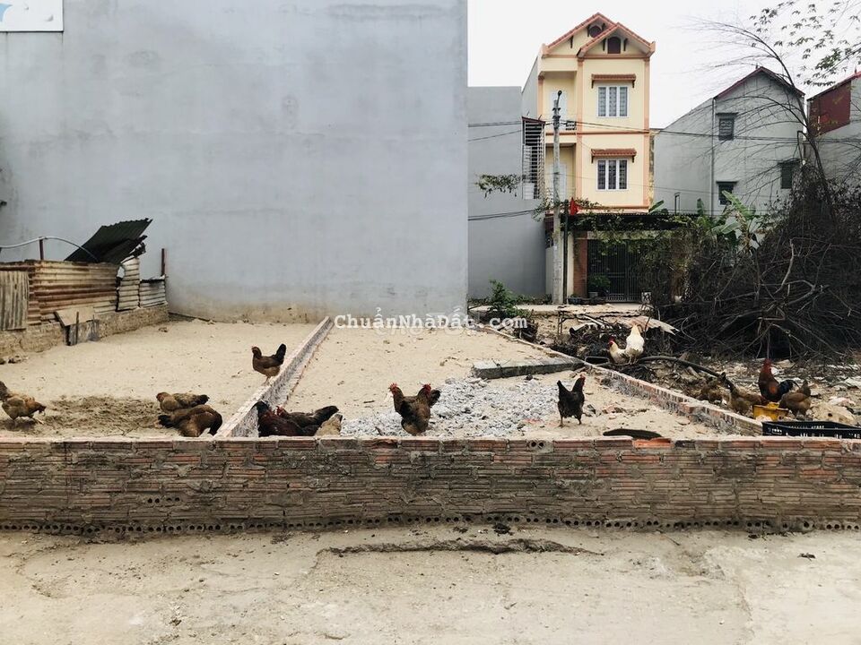 Bán 56m2 đất Lương Quy,Xuân Nộn, Đông Anh đường thông 4m cạnh bìa làng