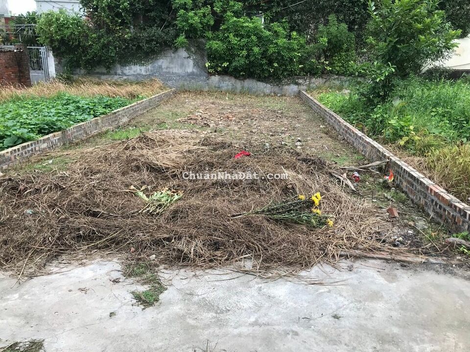 Cắt lỗ 5 giá lô đất 58m2 thôn Đồng, Nguyên Khê, Đông ANh