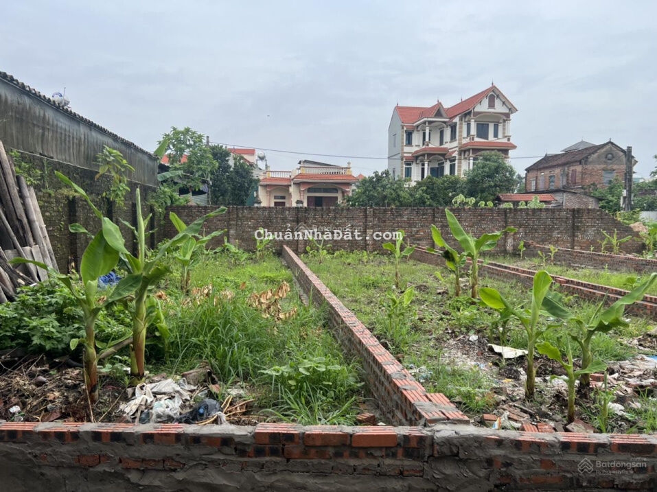 CHÍNH CHỦ BÁN 62M ĐẤT QUAN ÂM ,BẮC HỒNG ĐÔNG ANH ,HÀ NỘI.ĐƯỜNG THÔNG Ô TÔ VÀO TẬN ĐẤT .GIÁ 24TR CHÍNH CHỦ BÁN 62M ĐẤT QUAN ÂM ,BẮC HỒNG ĐÔNG ANH ,HÀ NỘI.ĐƯỜNG THÔNG Ô TÔ VÀO TẬN ĐẤT .GIÁ 24TR