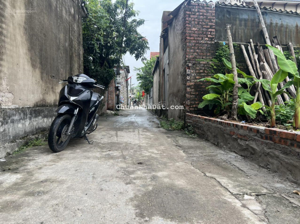 CHÍNH CHỦ BÁN 62M ĐẤT QUAN ÂM ,BẮC HỒNG ĐÔNG ANH ,HÀ NỘI.ĐƯỜNG THÔNG Ô TÔ VÀO TẬN ĐẤT .GIÁ 24TR CHÍNH CHỦ BÁN 62M ĐẤT QUAN ÂM ,BẮC HỒNG ĐÔNG ANH ,HÀ NỘI.ĐƯỜNG THÔNG Ô TÔ VÀO TẬN ĐẤT .GIÁ 24TR