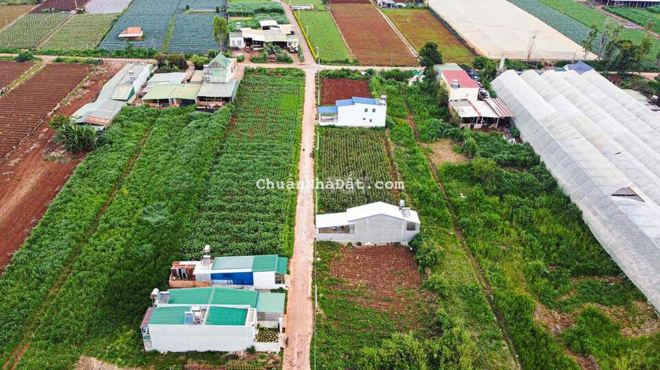 Bán lô đất thổ cư gần sân bay Liên Khương Huyện Đơn Dương Bán lô đất thổ cư gần sân bay Liên Khương Huyện Đơn Dương