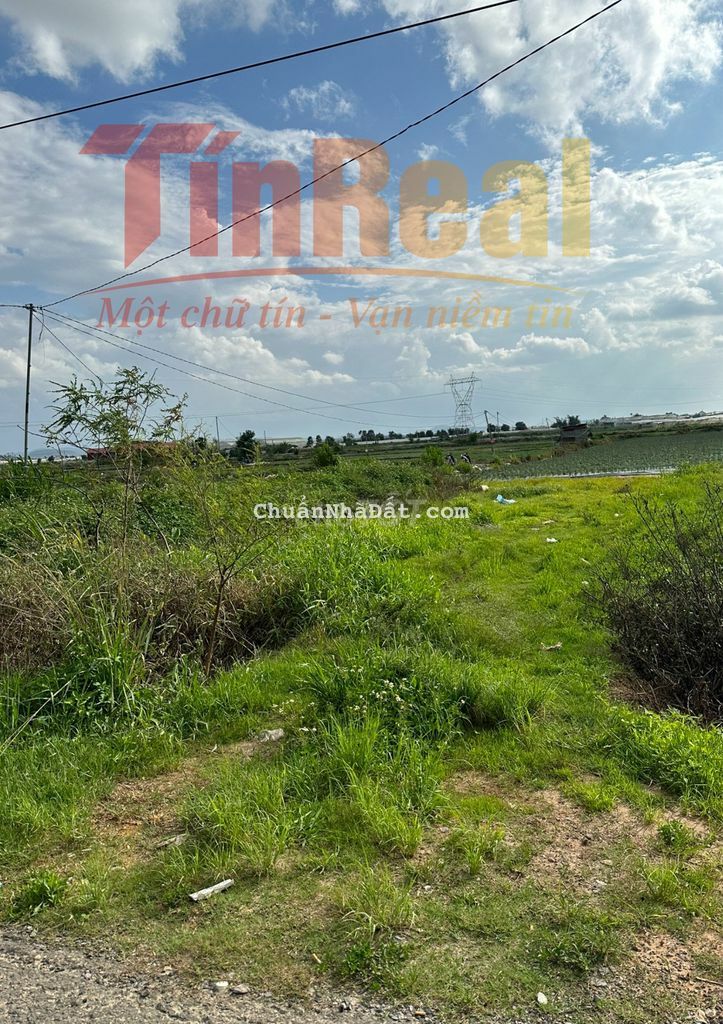 Lô đất mặt tiền đường nhựa giữa trung tâm tt Thạnh Mỹ, huyện Đơn Dương Lô đất mặt tiền đường nhựa giữa trung tâm tt Thạnh Mỹ, huyện Đơn Dương