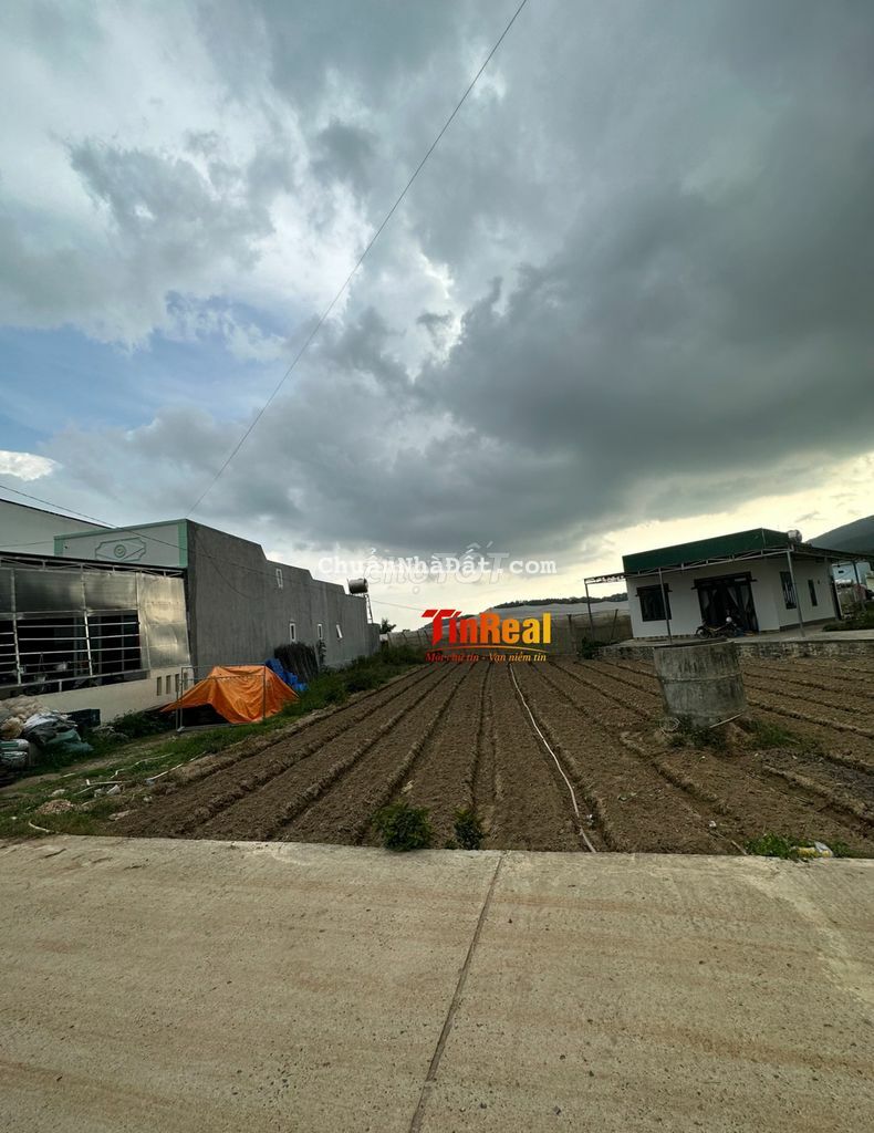 Lô đất giá rẻ ngay khu dân cư xã Lạc Lâm, huyện Đơn Dương Lô đất giá rẻ ngay khu dân cư xã Lạc Lâm, huyện Đơn Dương