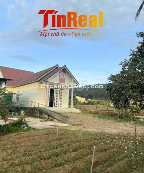 Lô đất giá rẻ ngay khu dân cư xã Lạc Lâm, huyện Đơn Dương Lô đất giá rẻ ngay khu dân cư xã Lạc Lâm, huyện Đơn Dương