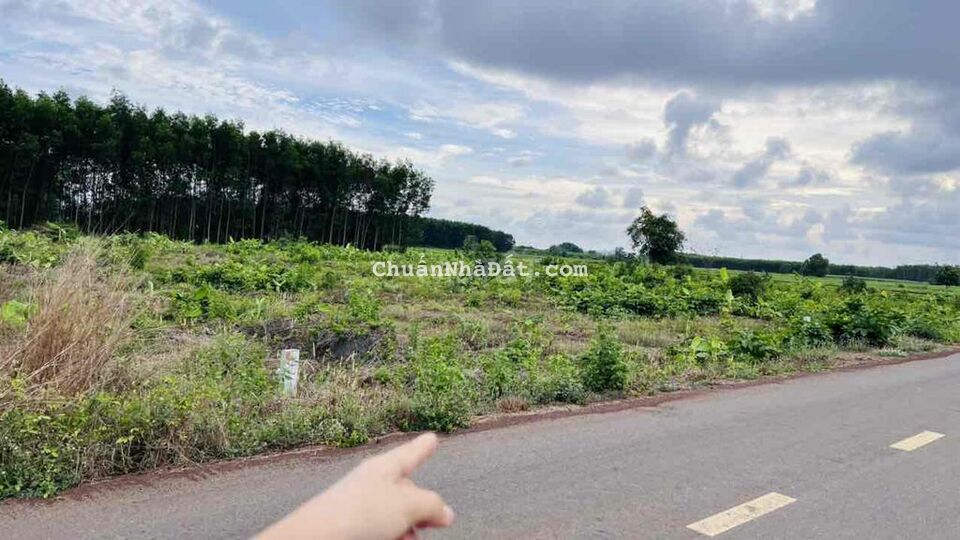 PHƯỚC LONG THỌ CẠNH KHU CÔNG NGHIỆP ĐẤT ĐỎ- 1000M2 - 13.6x74M PHƯỚC LONG THỌ CẠNH KHU CÔNG NGHIỆP ĐẤT ĐỎ- 1000M2 - 13.6x74M