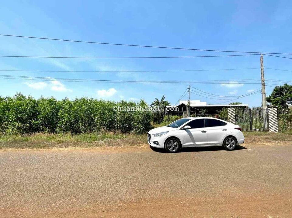 MẶT TIỀN LÊ VĂN MỘT - TT ĐẤT ĐỎ - 1338M2 -35x45M MẶT TIỀN LÊ VĂN MỘT - TT ĐẤT ĐỎ - 1338M2 -35x45M