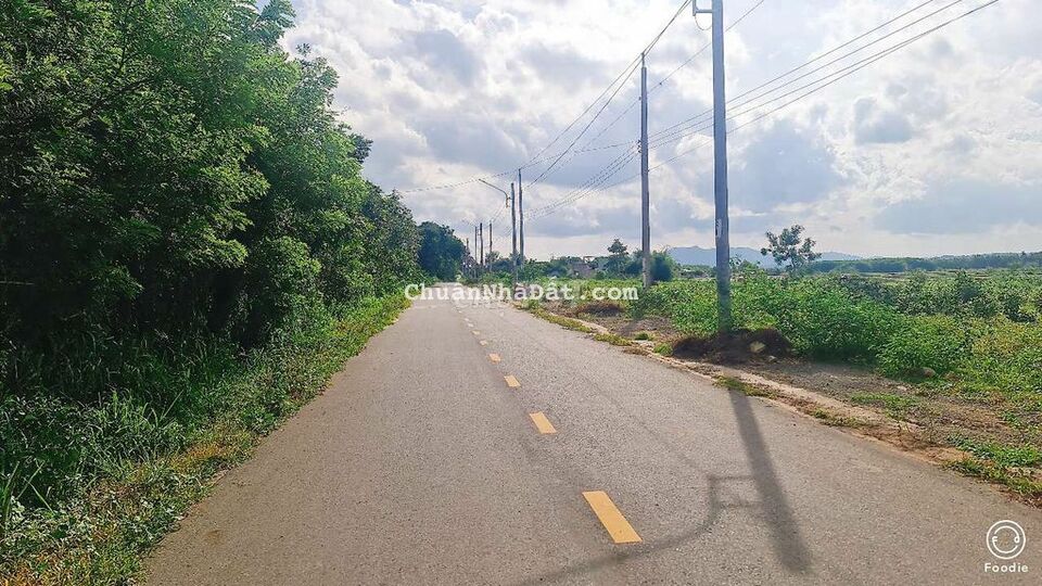 BÁN ĐẤT THỊ TRẤN ĐẤT ĐỎ BÀ RỊA VŨNG TÀU DT 230m