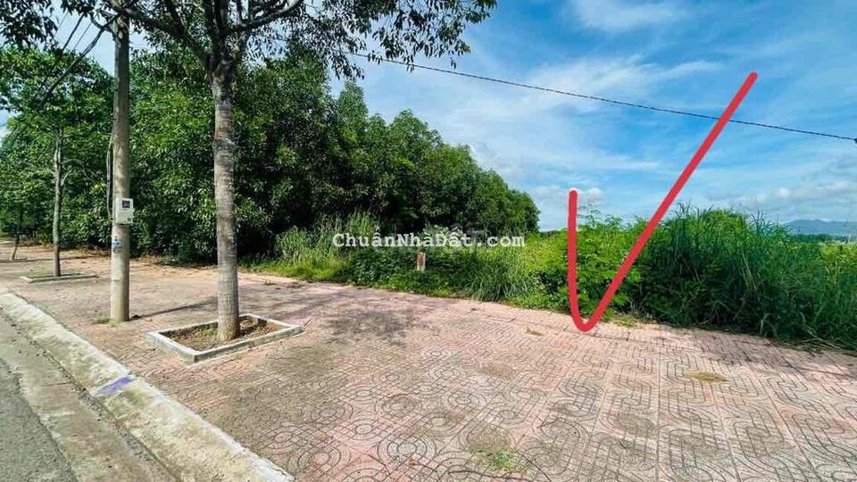 đất mt Võ Thị Sáu-tt Đất Đỏ ngang 8 dài 43 giá đầu tư