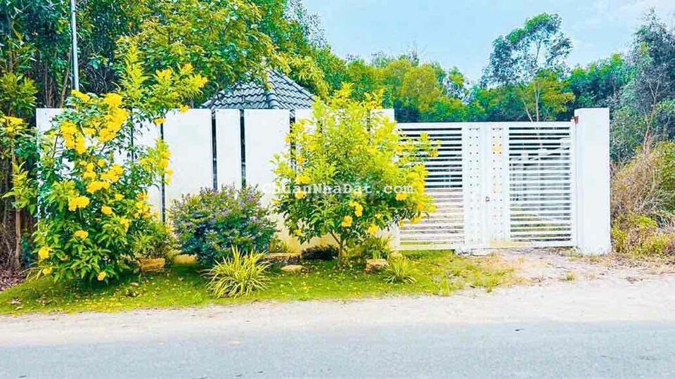 493m2 đất thổ cư mặt tiền cung đường nghĩ dưỡng. Có tường rào kiên cố 493m2 đất thổ cư mặt tiền cung đường nghĩ dưỡng. Có tường rào kiên cố