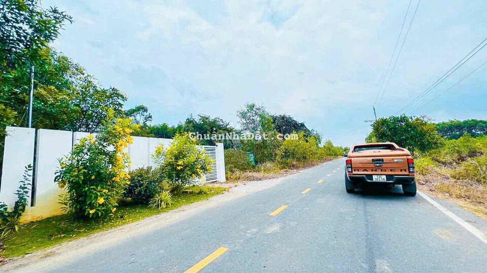 493m2 đất thổ cư mặt tiền cung đường nghĩ dưỡng. Có tường rào kiên cố 493m2 đất thổ cư mặt tiền cung đường nghĩ dưỡng. Có tường rào kiên cố