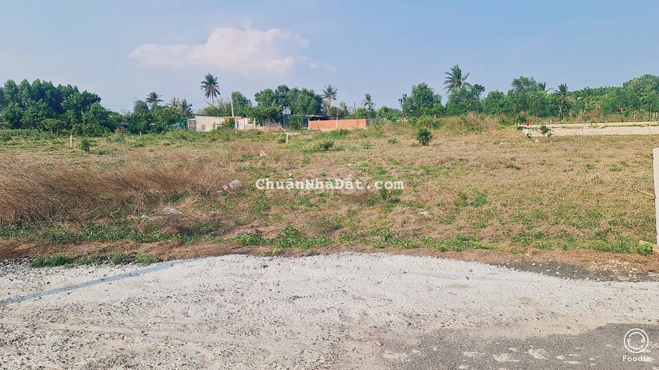 BÁN ĐẤT PHƯỚC HỘI ĐẤT ĐỎ BÀ RỊA VŨNG TÀU DT 522m BÁN ĐẤT PHƯỚC HỘI ĐẤT ĐỎ BÀ RỊA VŨNG TÀU DT 522m