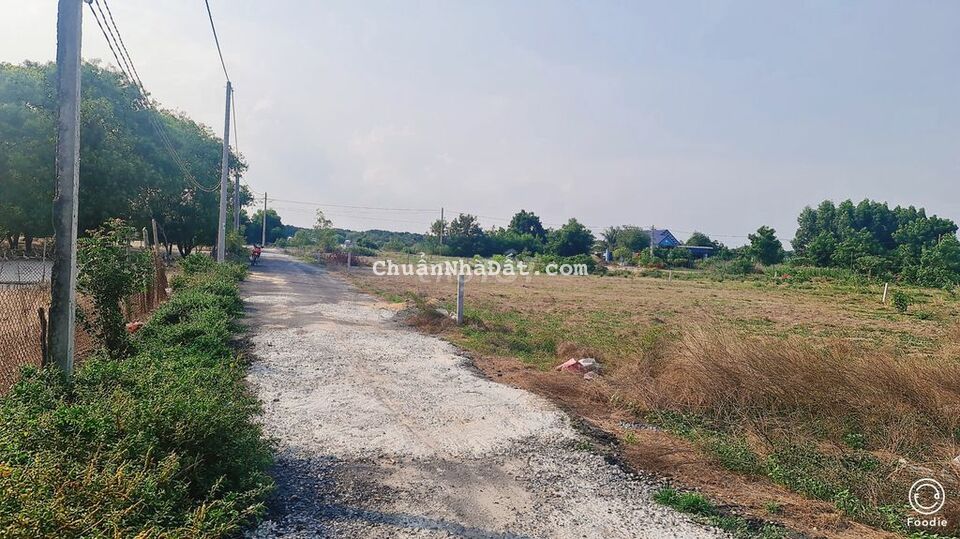 BÁN ĐẤT PHƯỚC HỘI ĐẤT ĐỎ BÀ RỊA VŨNG TÀU DT 522m BÁN ĐẤT PHƯỚC HỘI ĐẤT ĐỎ BÀ RỊA VŨNG TÀU DT 522m