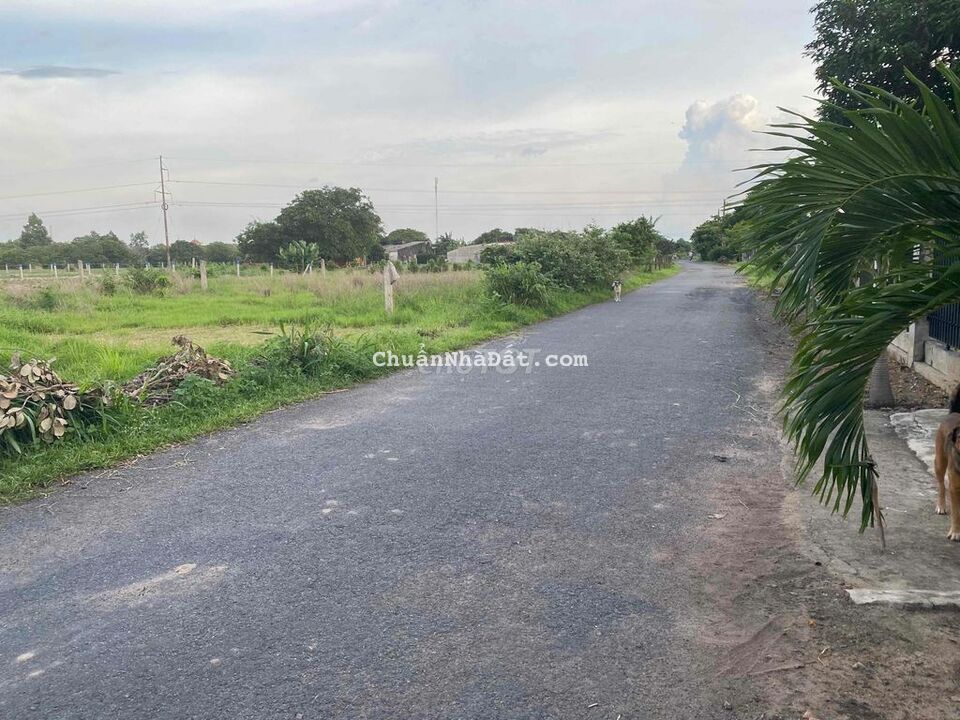 10x55 khu dân cư hiện hữu với 190m2 thổ cư. hàng ngộp giá tốt bán lẹ