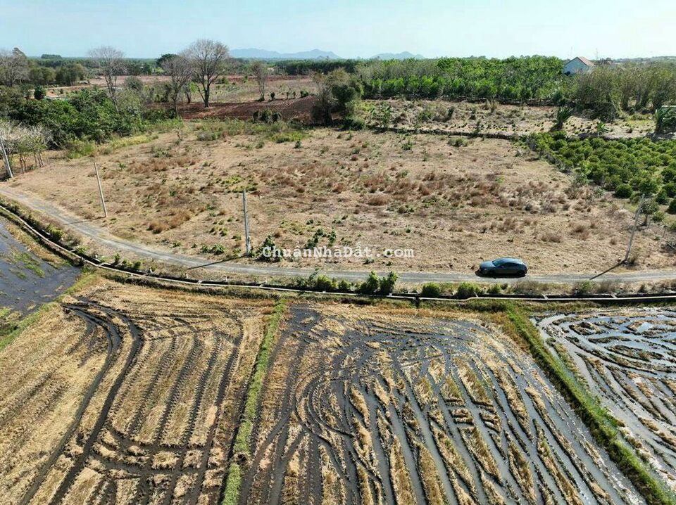 ĐẤT LONG TÂN - ĐẤT ĐỎ - BRVT.DT 6656,8m2 ngang 105M x 60M.Sẵn 960m2 tc