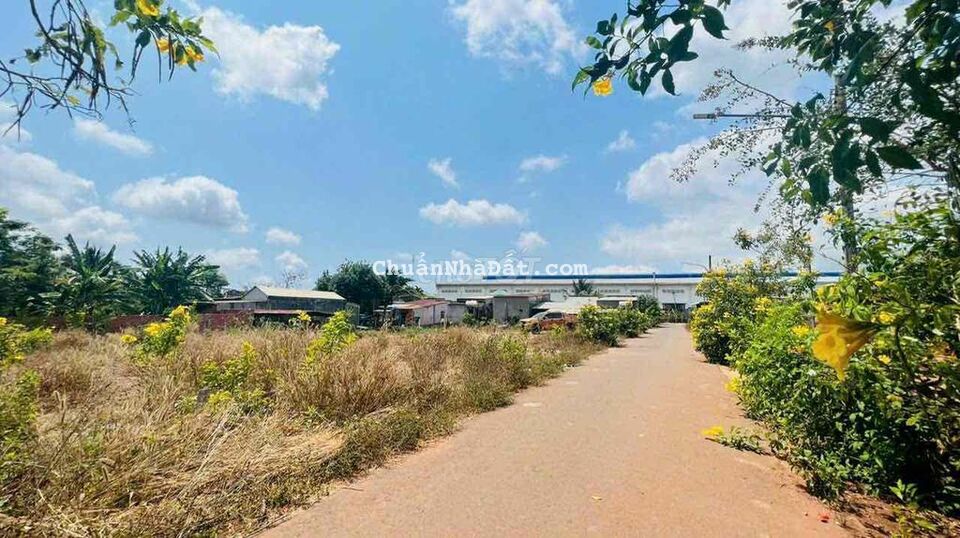 871m2 mặt tiền đường nhựa 40x23 giá chỉ 3.99 tỷ thương lượng 871m2 mặt tiền đường nhựa 40x23 giá chỉ 3.99 tỷ thương lượng