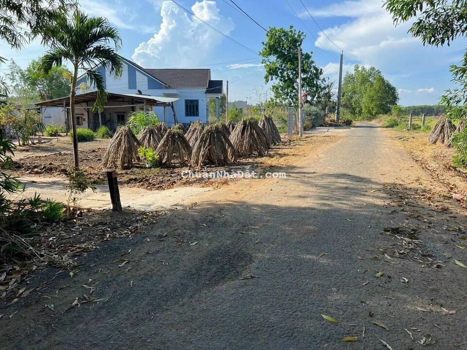 ĐẤT MT ĐƯỜNG NHỰA LÁNG DÀI ĐẤT ĐỎ BRVT DT 8753M2 CÓ 300m2 Thổ Cư ĐẤT MT ĐƯỜNG NHỰA LÁNG DÀI ĐẤT ĐỎ BRVT DT 8753M2 CÓ 300m2 Thổ Cư