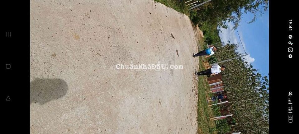 *** 1lo SHR quy đất ont và cln 1000m2 giá 530tr