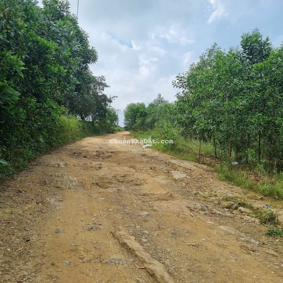 16m mặt tiền đường hiển thị,năm khu dân cư,giá rẽ.