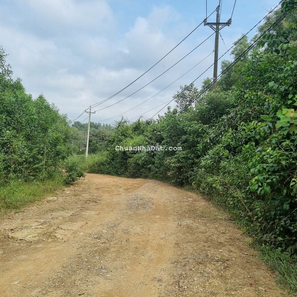 16m mặt tiền đường hiển thị,năm khu dân cư,giá rẽ.