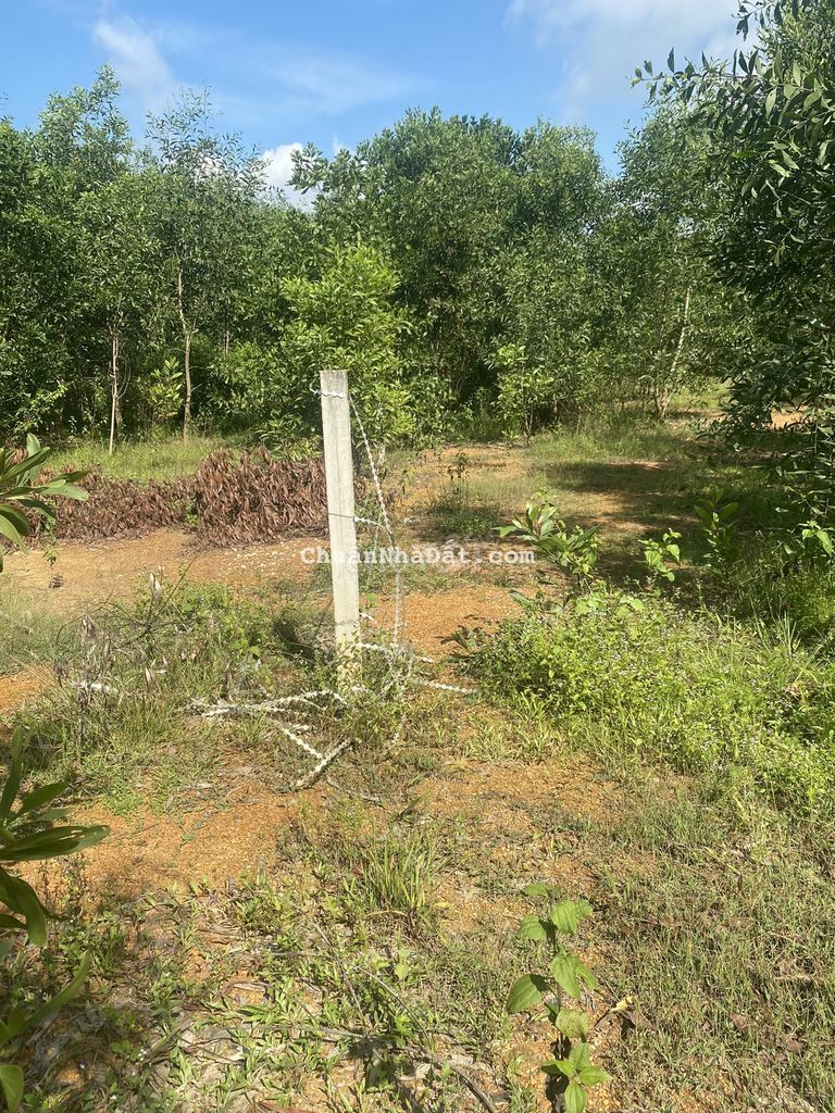 BÁN 1040M2 QUY HOẠCH 100% ĐẤT CÓ SẴN 100M2 THÔ CƯ,GIÁ RẼ ĐẦU TƯ