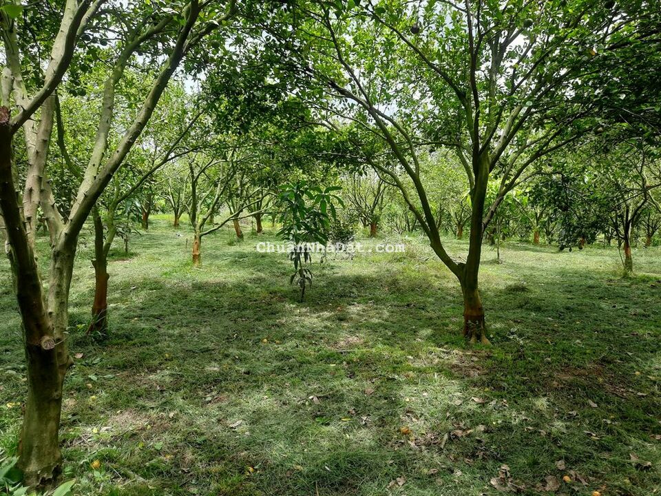 Cạnh nút giao cao tốc Dầu Giây Liên Khương - Phú Túc - ngang 25m.