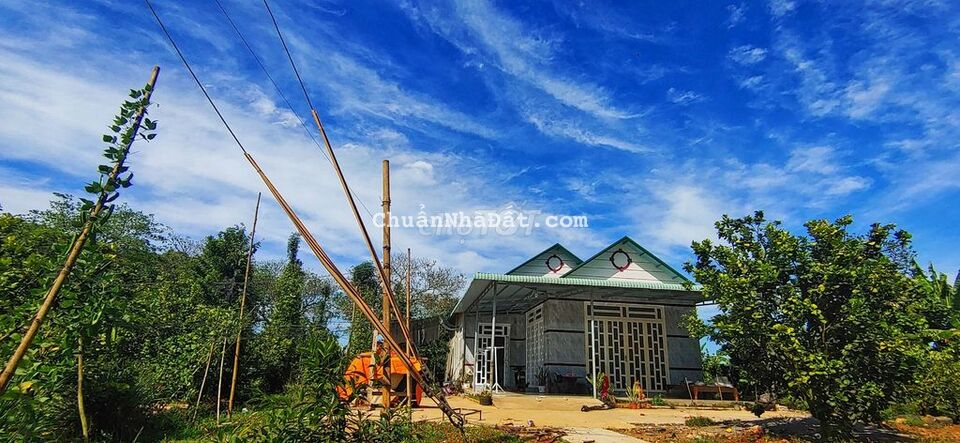 Cạnh nút giao cao tốc Dầu Giây Liên Khương - Phú Túc - ngang 25m.