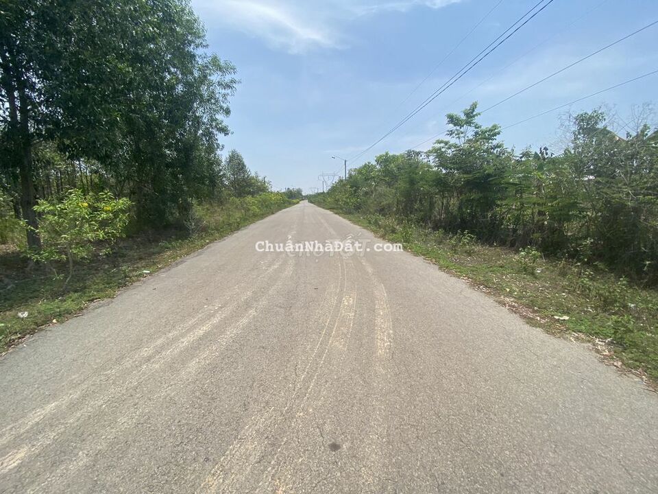 395 TRIỆU SỞ HỮU LÔ ĐẤT CÓ 1448M2 CÓ 48M MẠT TIỀN ĐƯỜNG IỂN THỊ,GIÁ RẼ