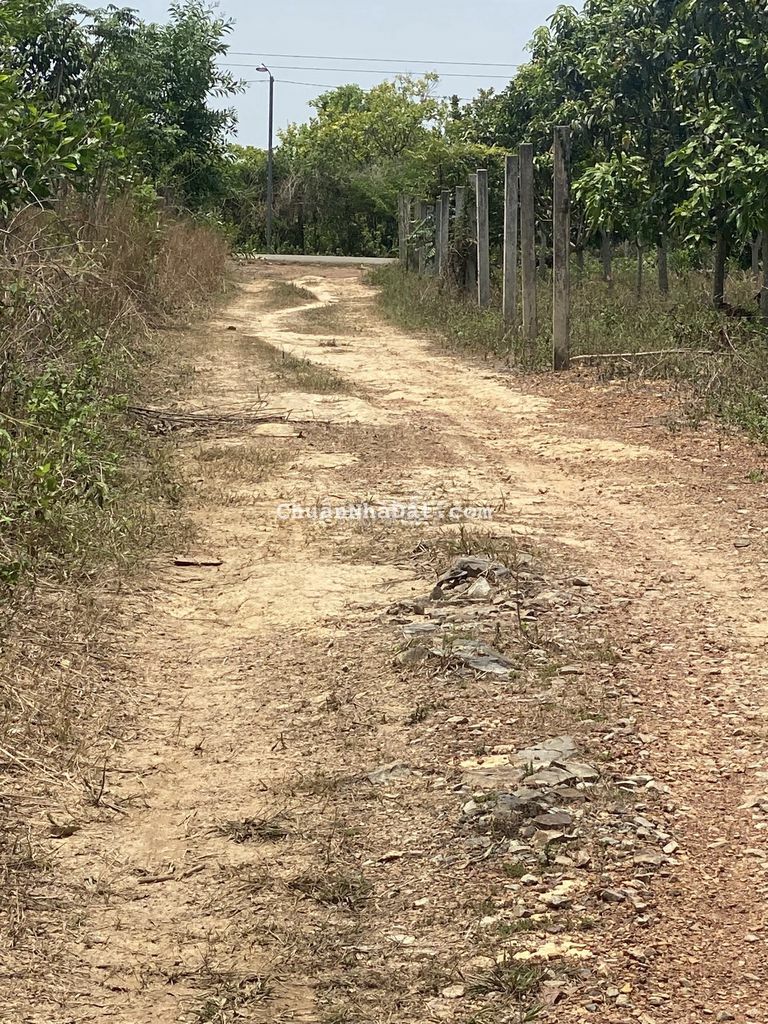 395 TRIỆU SỞ HỮU LÔ ĐẤT CÓ 1448M2 CÓ 48M MẠT TIỀN ĐƯỜNG IỂN THỊ,GIÁ RẼ